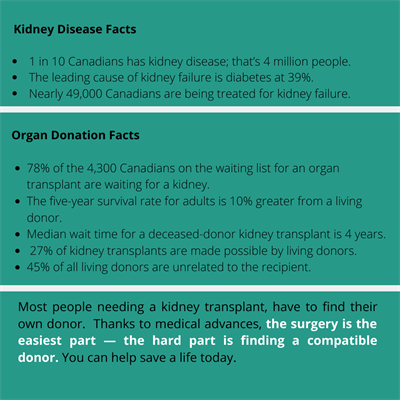 Kidney facts - Steve's story