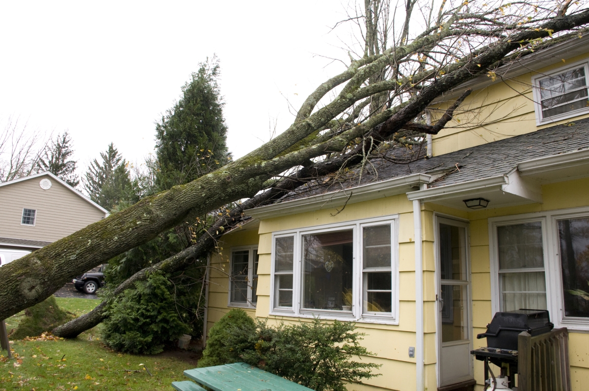 home insurance claim